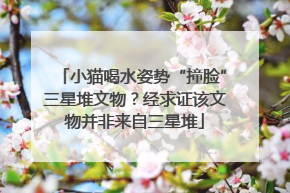 小猫喝水姿势“撞脸”三星堆文物？经求证该文物并非来自三星堆